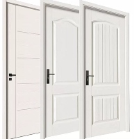 SKIN DOOR